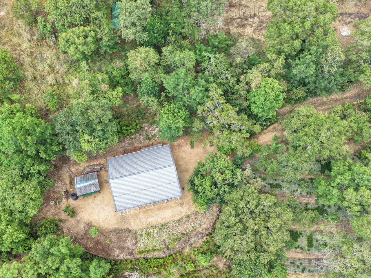 Stone built house on 10 acres in hill country