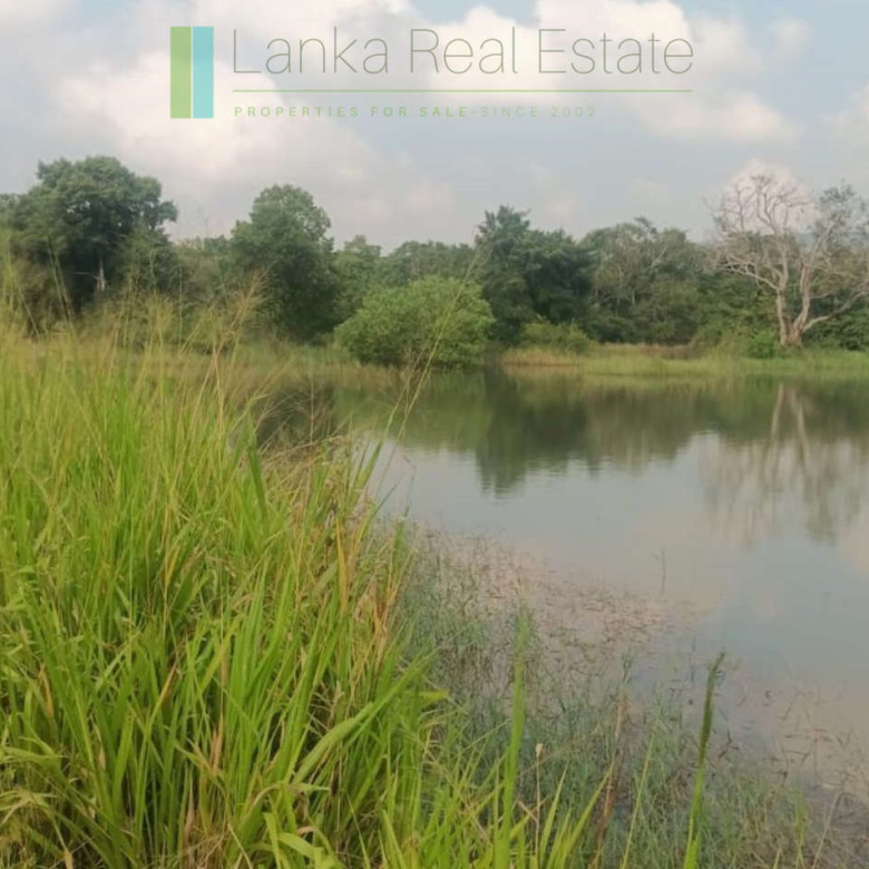 48 acres with Sigiriya Rock views