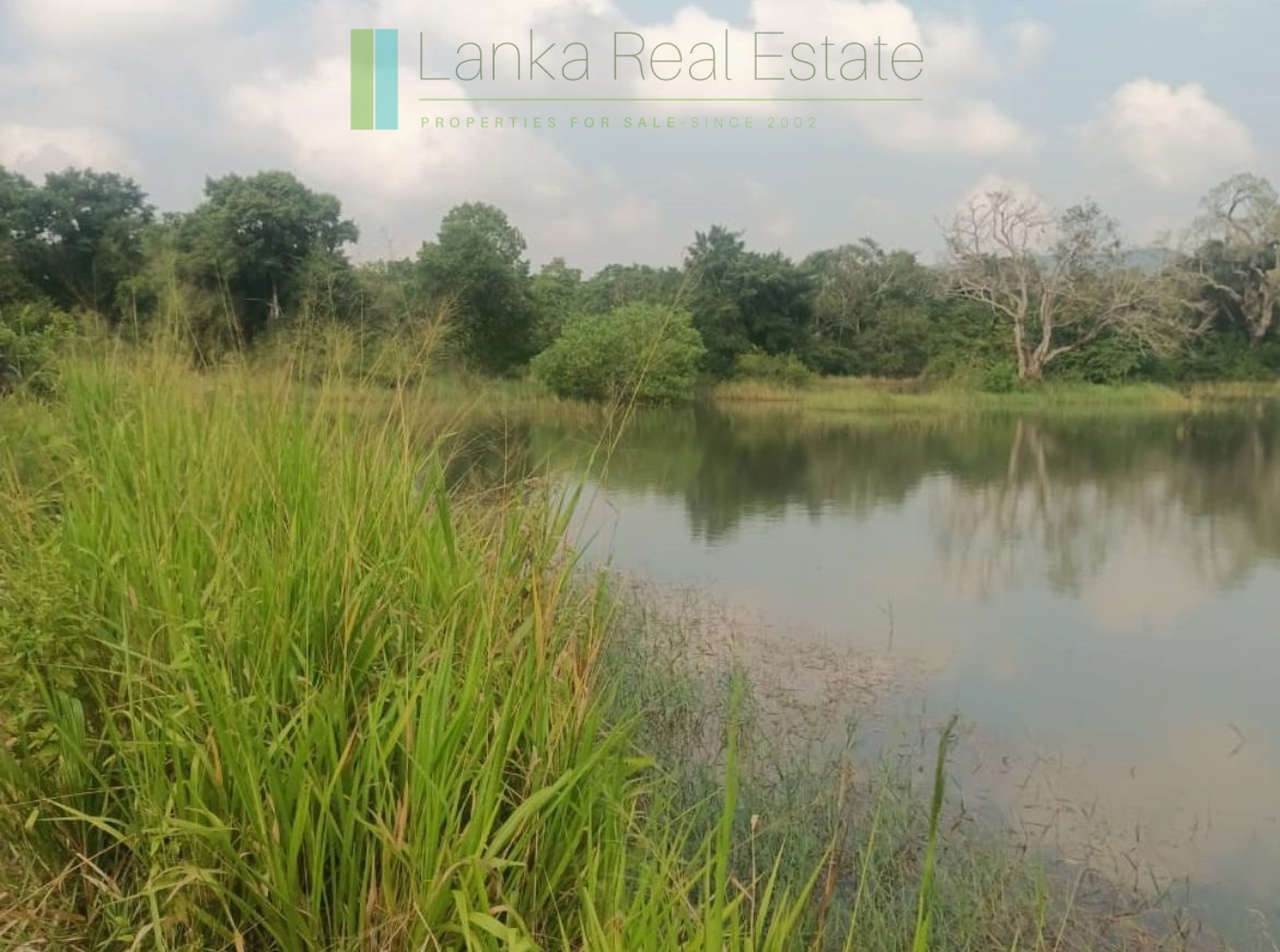 48 acres with Sigiriya Rock views