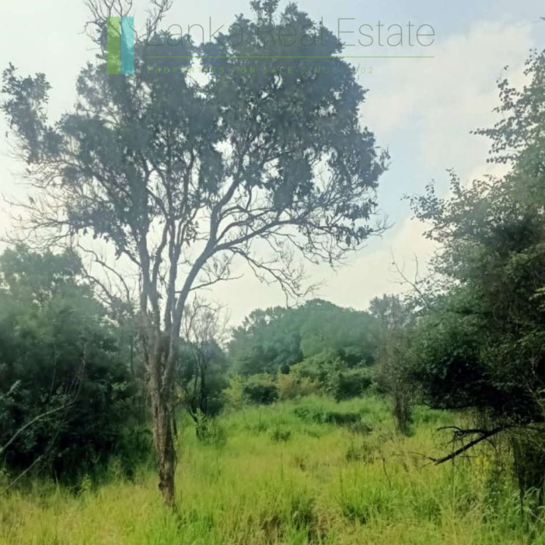 48 acres with Sigiriya Rock views