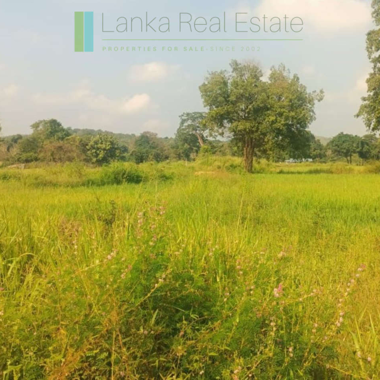 48 acres with Sigiriya Rock views