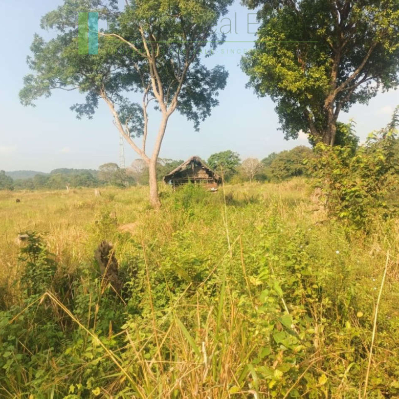 48 acres with Sigiriya Rock views