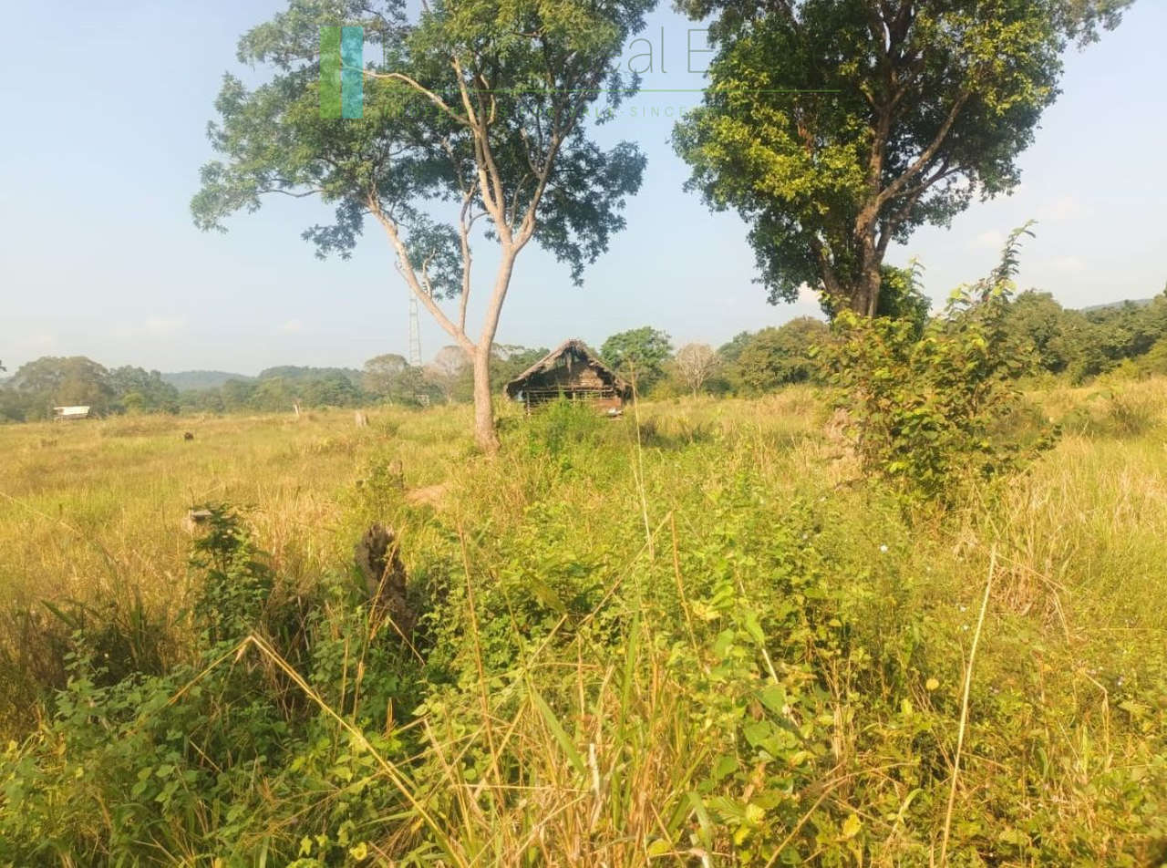 48 acres with Sigiriya Rock views