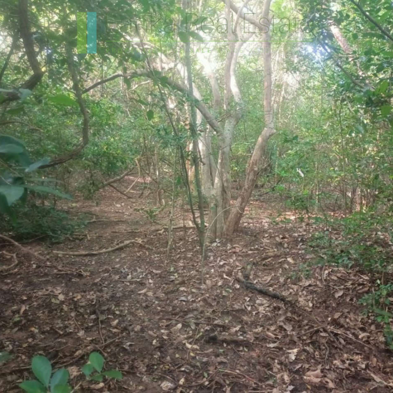 48 acres with Sigiriya Rock views