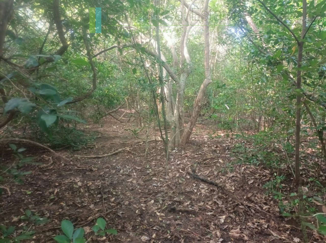 48 acres with Sigiriya Rock views