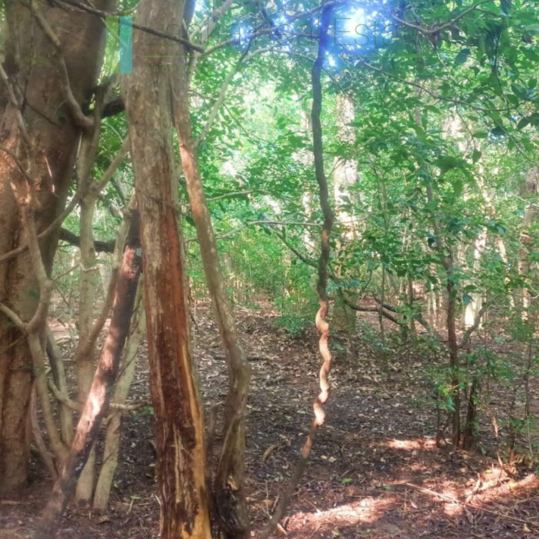 48 acres with Sigiriya Rock views