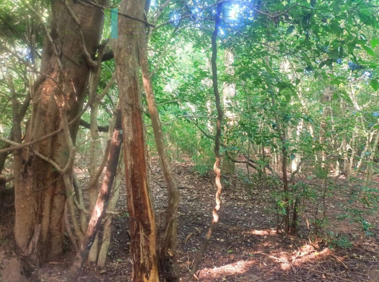48 acres with Sigiriya Rock views