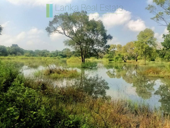 48 acres with Sigiriya Rock views