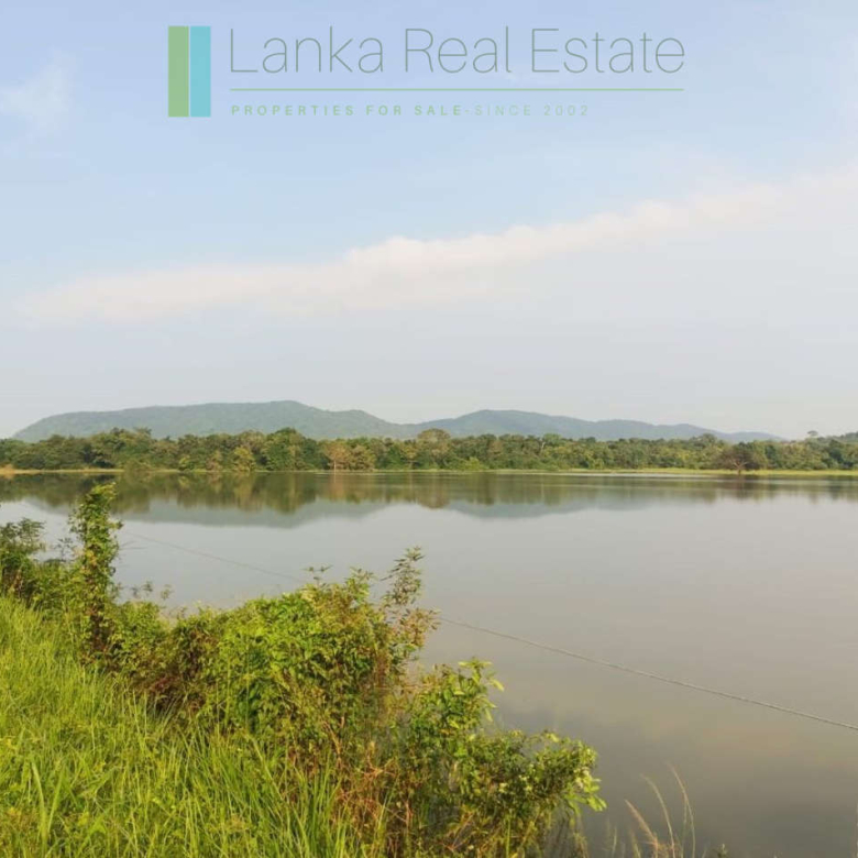 48 acres with Sigiriya Rock views