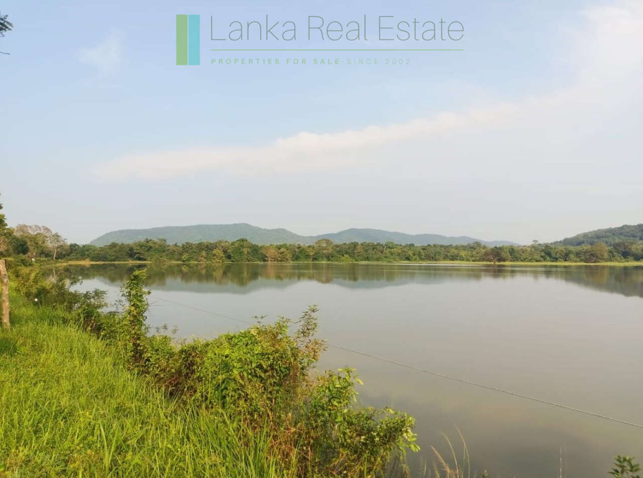 48 acres with Sigiriya Rock views