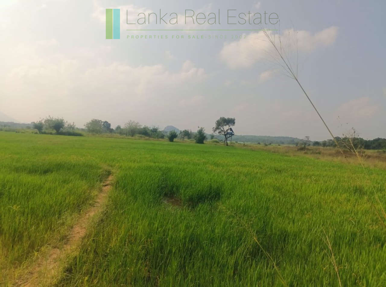 48 acres with Sigiriya Rock views