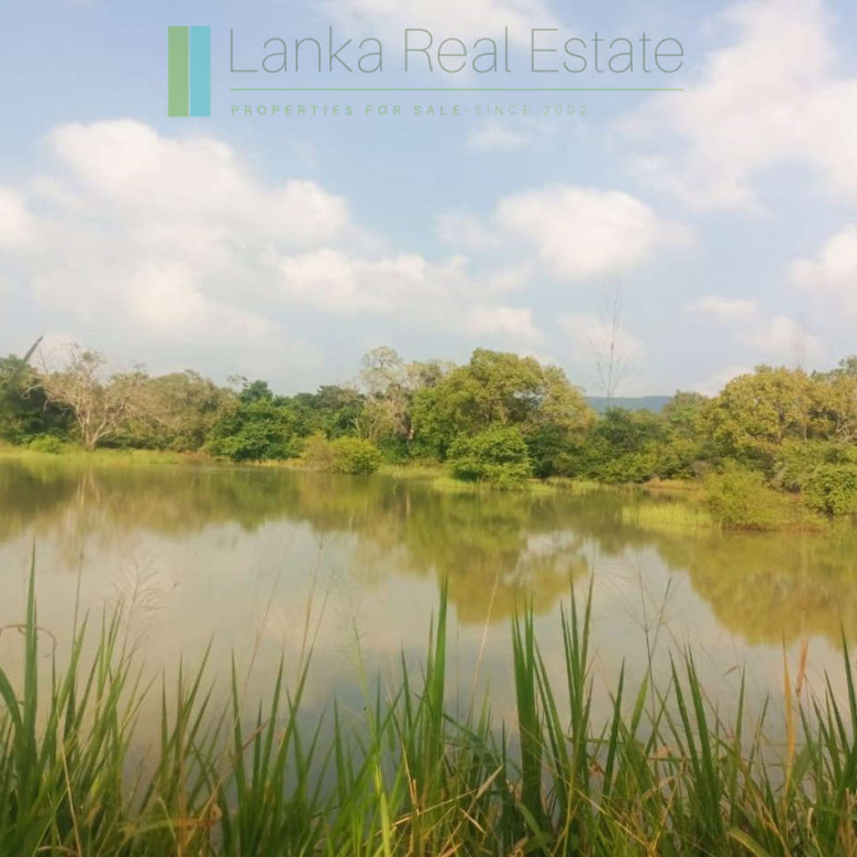 48 acres with Sigiriya Rock views