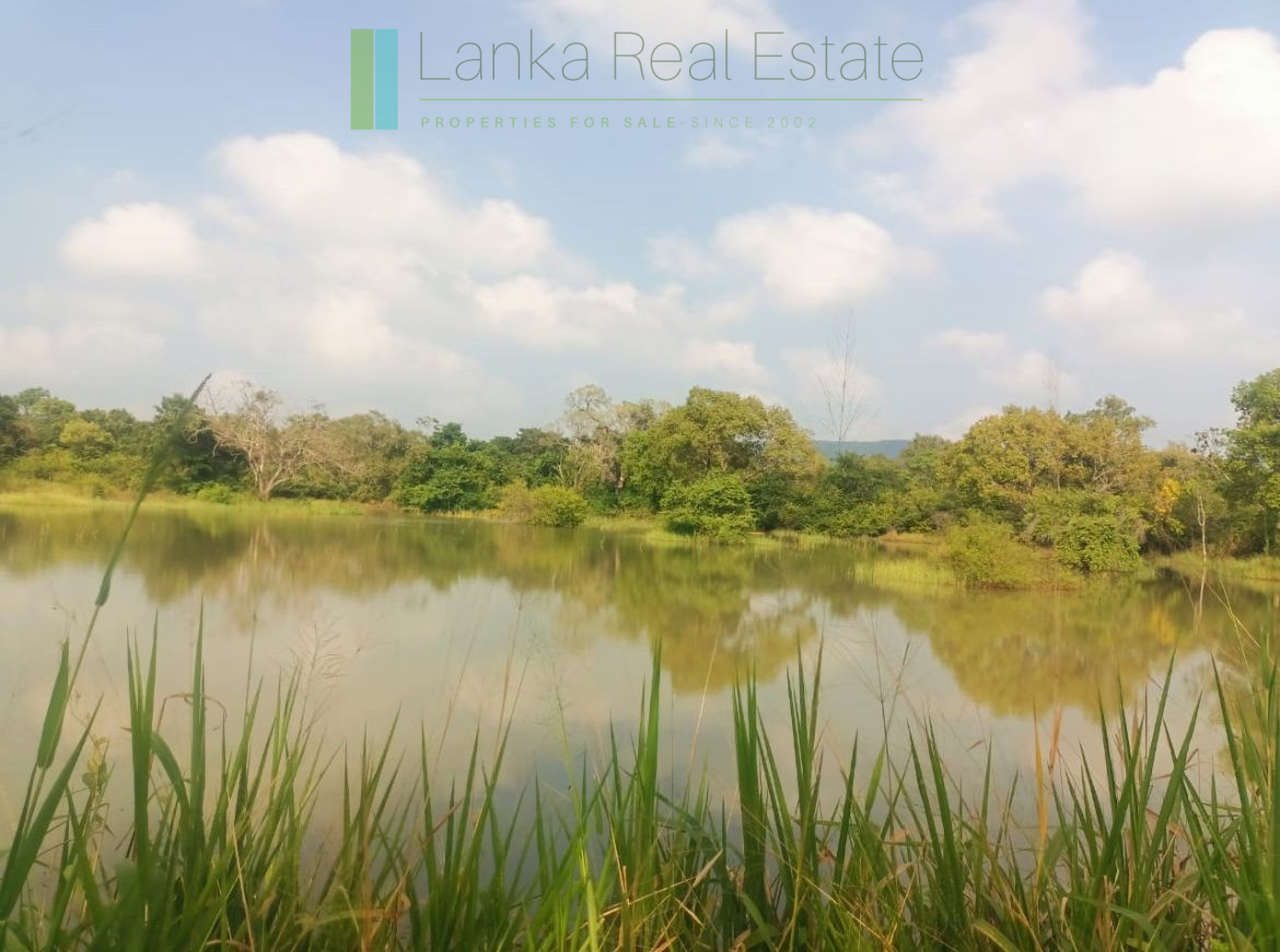 48 acres with Sigiriya Rock views