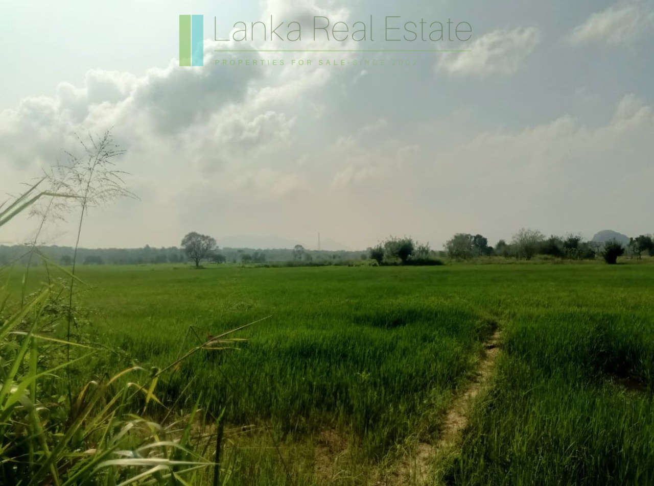 48 acres with Sigiriya Rock views