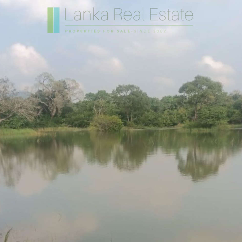 48 acres with Sigiriya Rock views