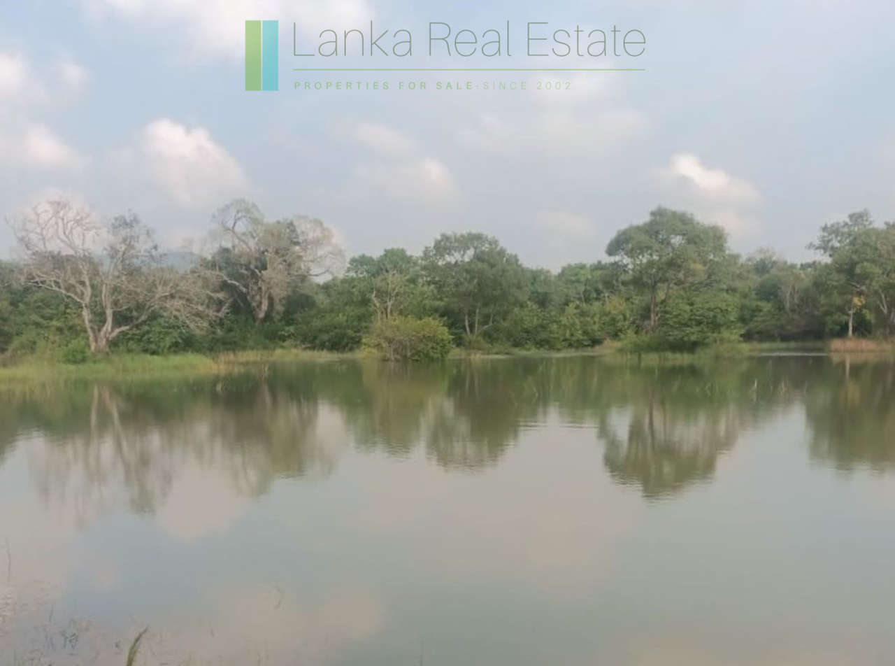 48 acres with Sigiriya Rock views