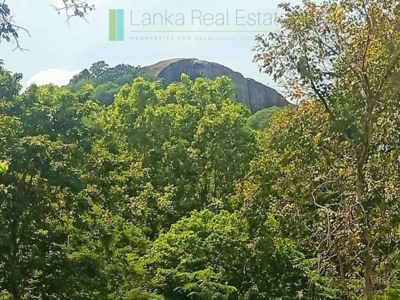 Thirty-four acres with views of Pidurangala Rock and Sigiriya