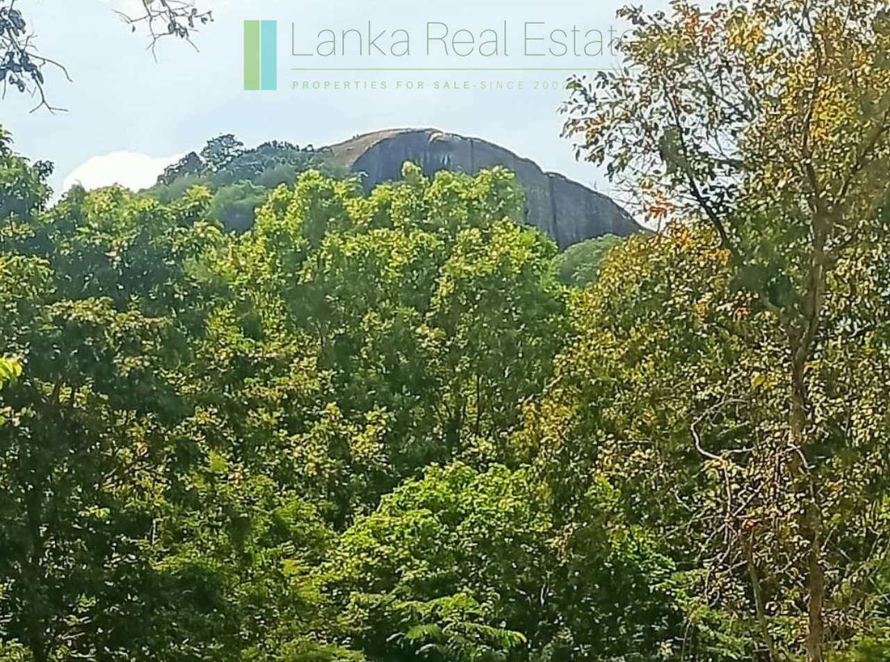 250302-sigiriya34-1_web Thirty-four acres with views of Pidurangala Rock and Sigiriya