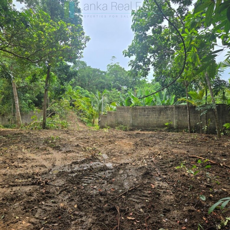 Versatile plot on Koggala Lake