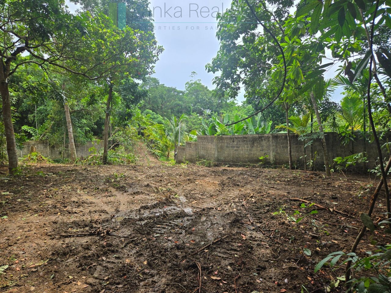 Versatile plot on Koggala Lake