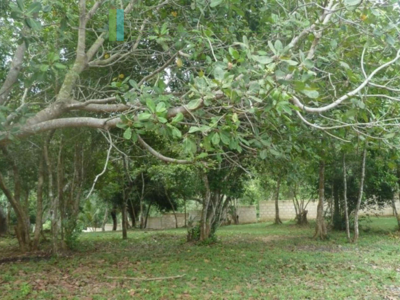Versatile plot on Koggala Lake
