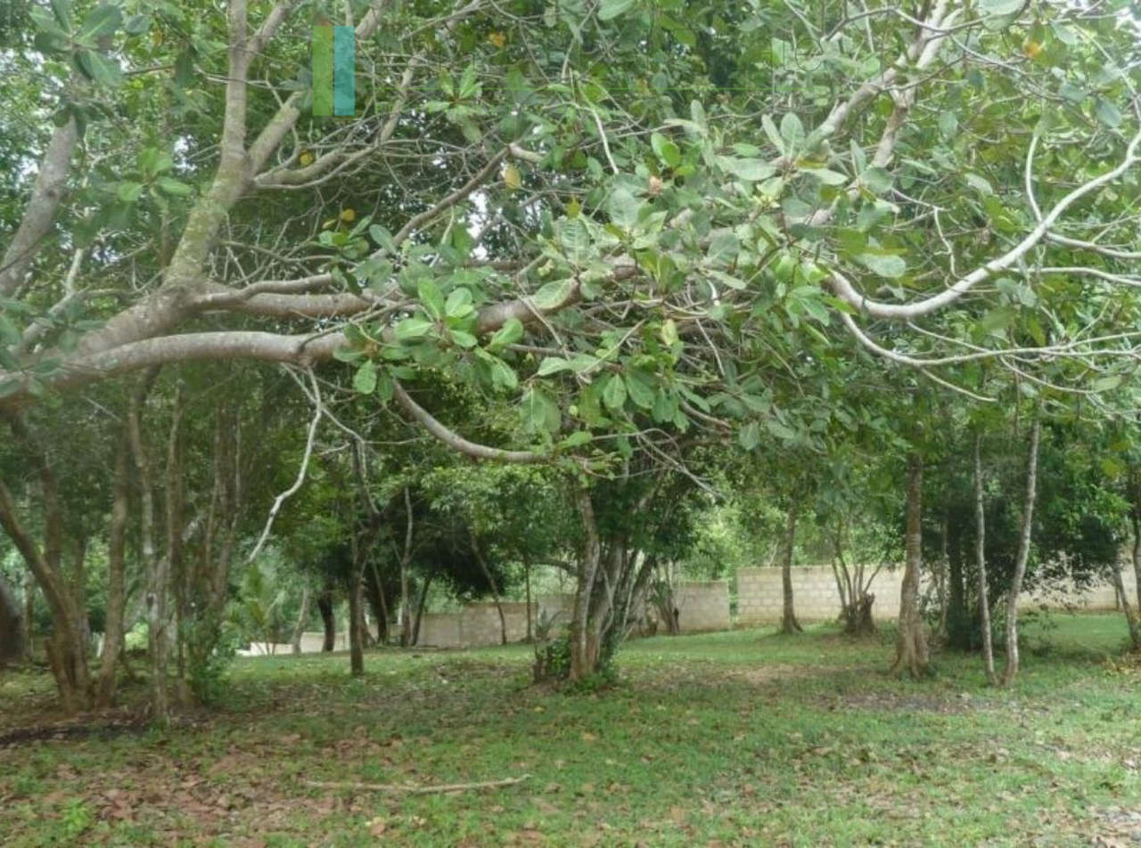 250503-koggala-1 Versatile plot on Koggala Lake