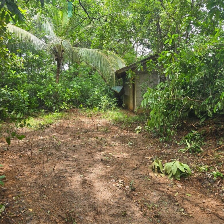 Versatile plot on Koggala Lake