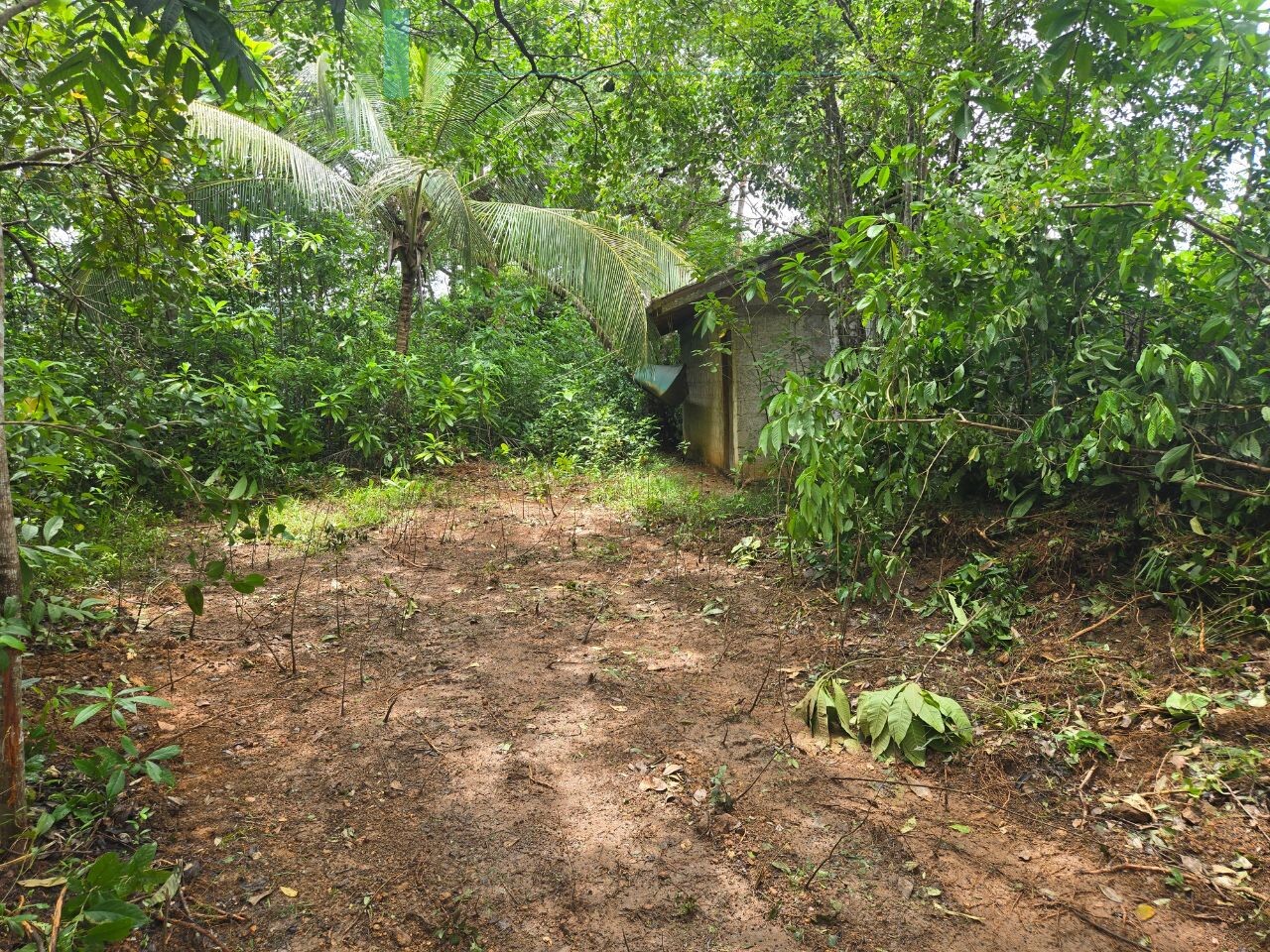 Versatile plot on Koggala Lake