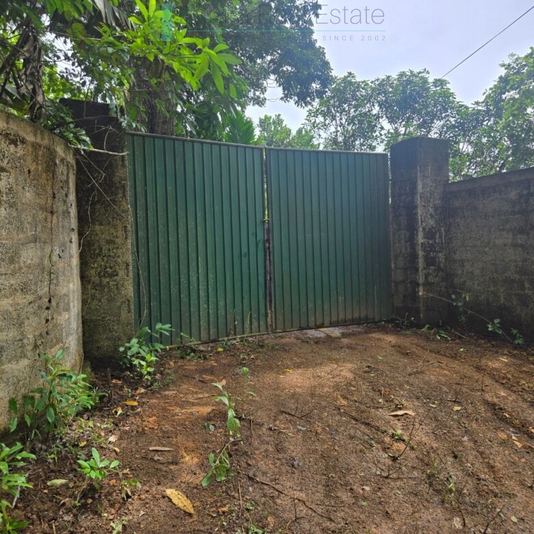 Versatile plot on Koggala Lake