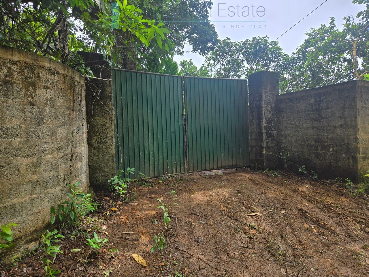 Versatile plot on Koggala Lake