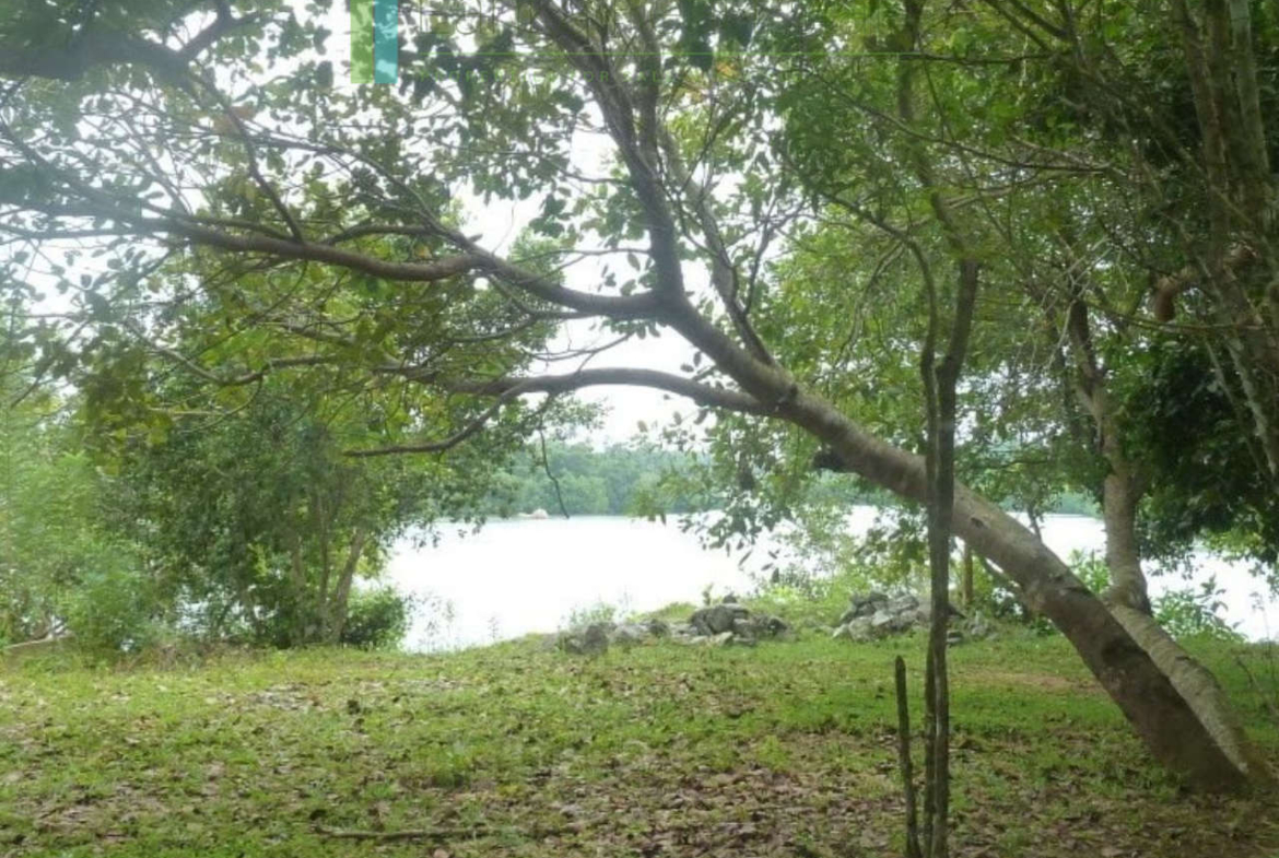 Versatile plot on Koggala Lake