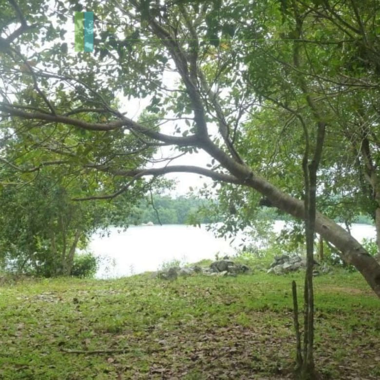 Versatile plot on Koggala Lake