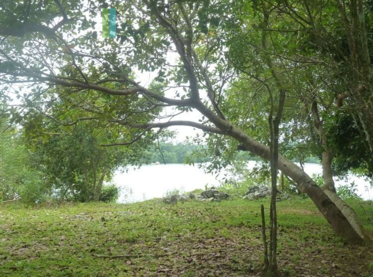 250503-koggala-3 Versatile plot on Koggala Lake