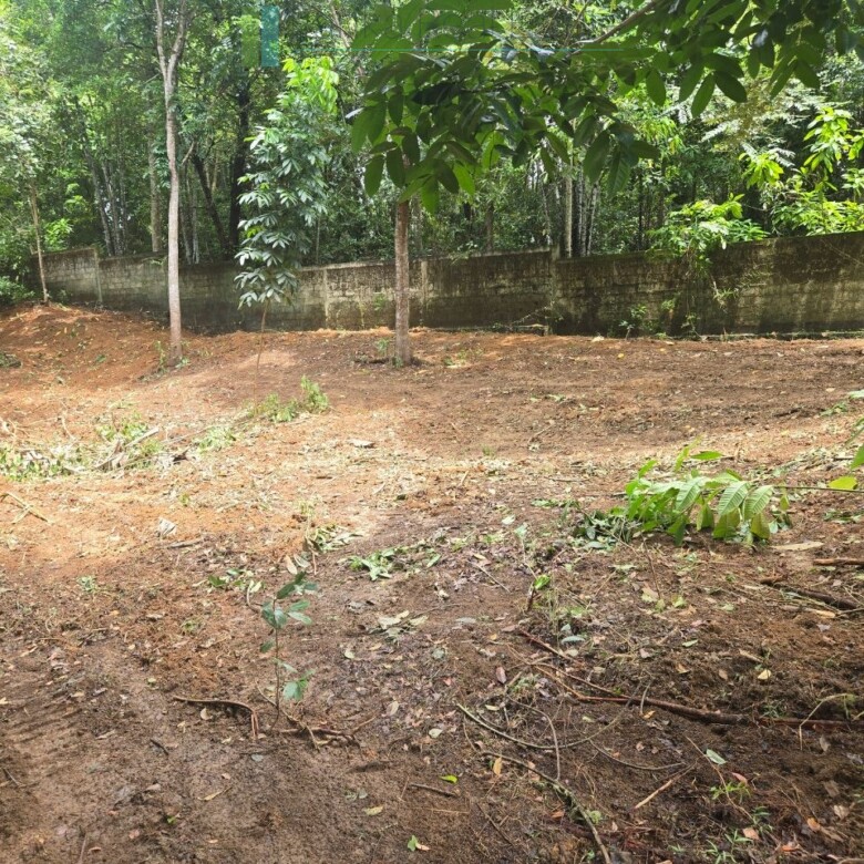 Versatile plot on Koggala Lake