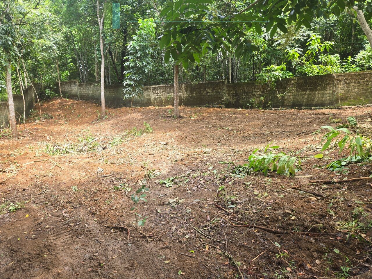 Versatile plot on Koggala Lake