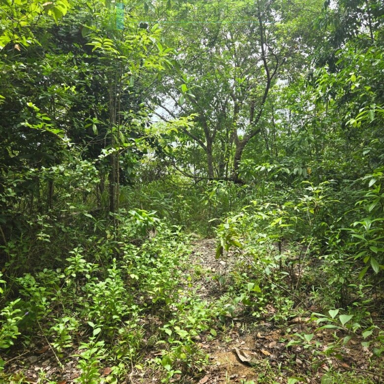 Versatile plot on Koggala Lake