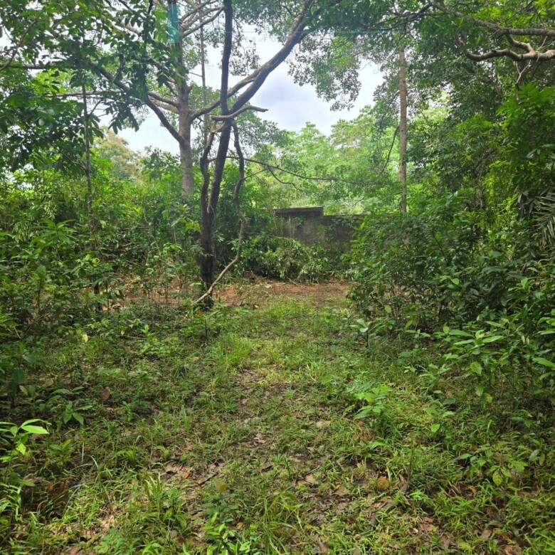Versatile plot on Koggala Lake