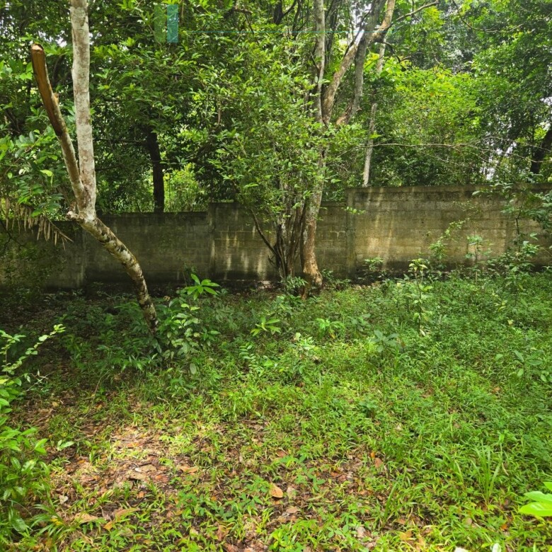 Versatile plot on Koggala Lake