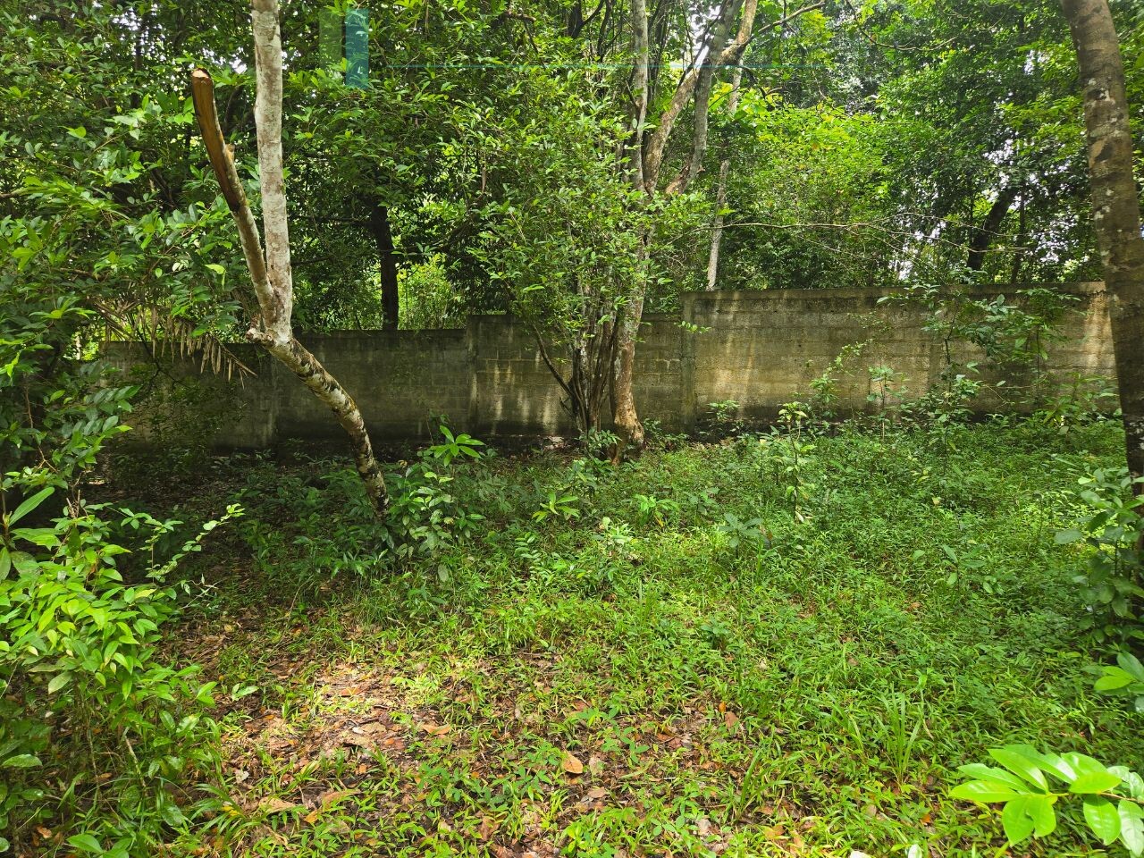 Versatile plot on Koggala Lake