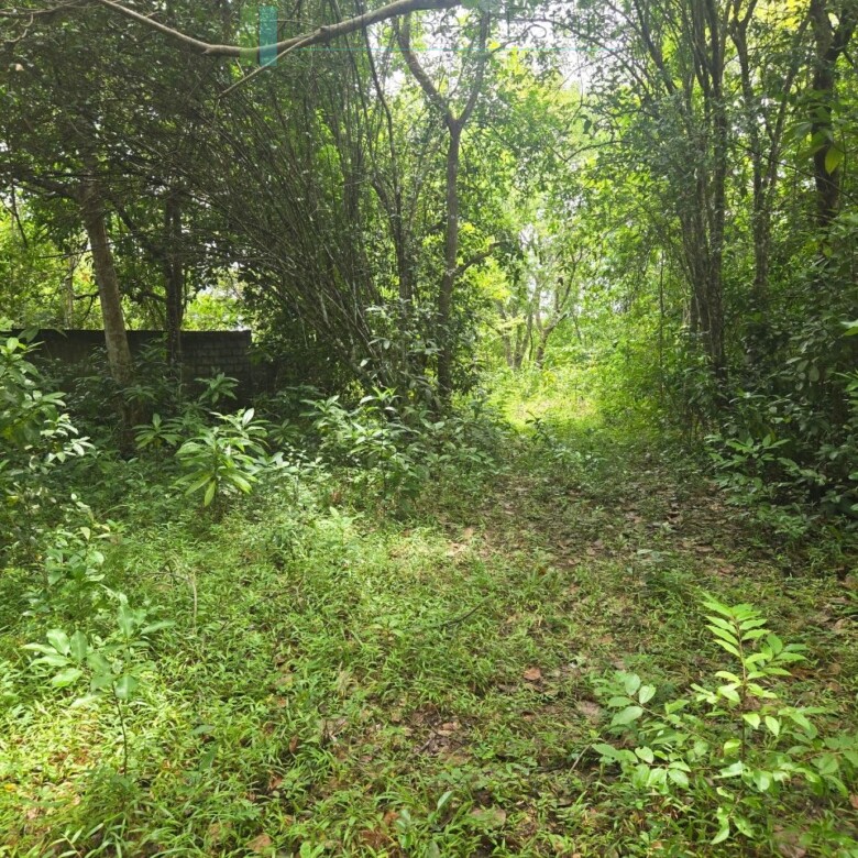 Versatile plot on Koggala Lake