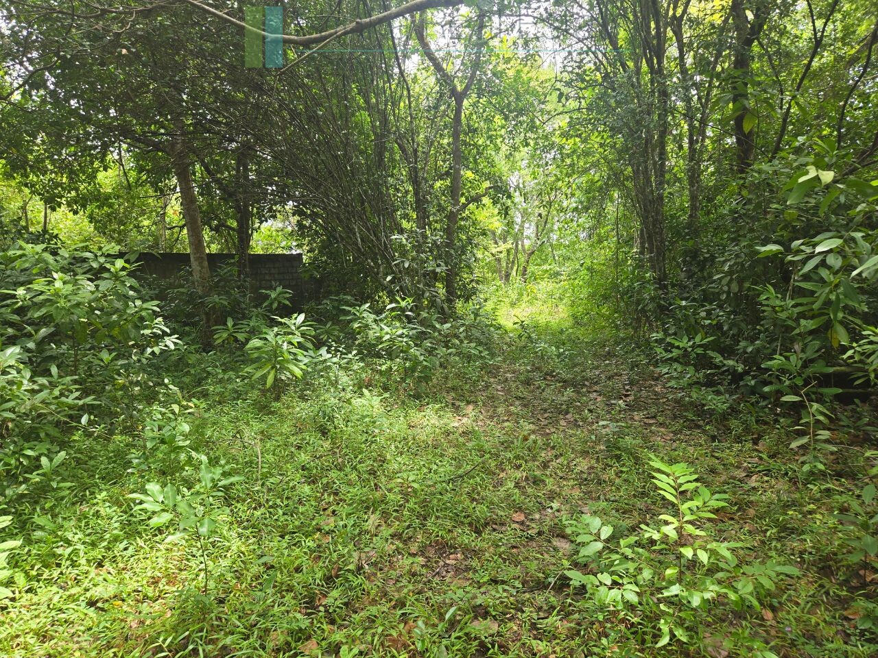 Versatile plot on Koggala Lake