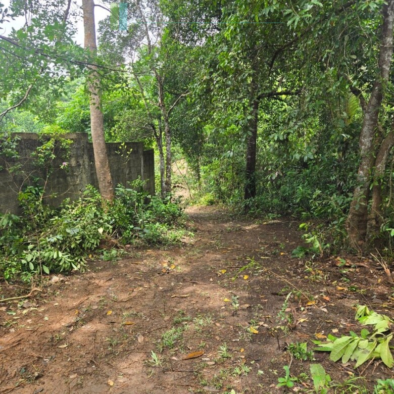 Versatile plot on Koggala Lake