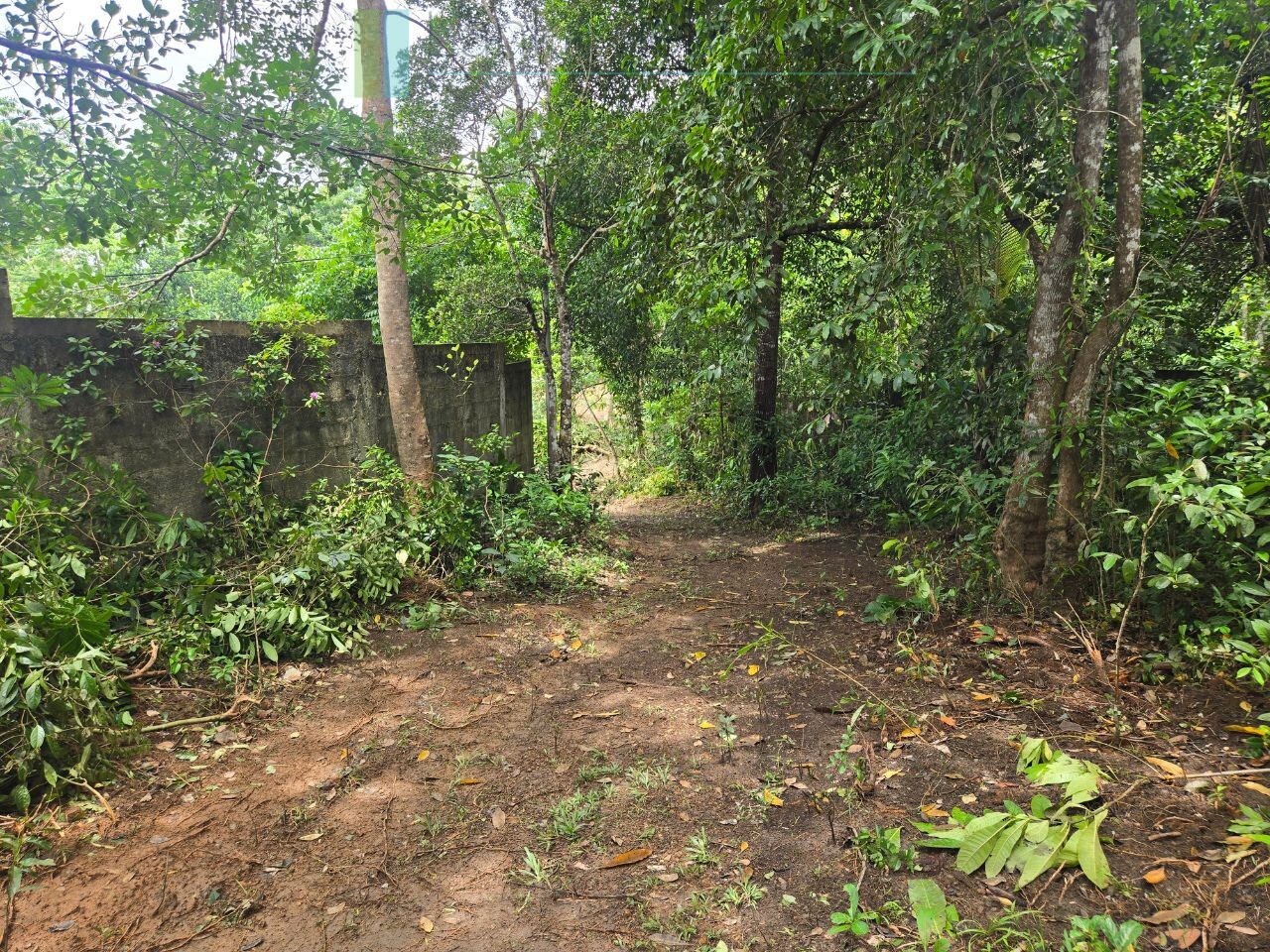 Versatile plot on Koggala Lake