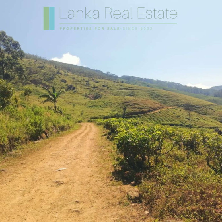 500 acre estate with tea factory near Kandy