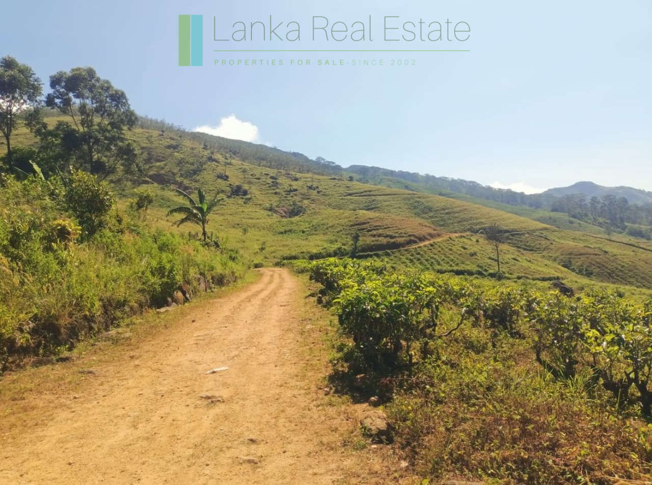 500 acre estate with tea factory near Kandy