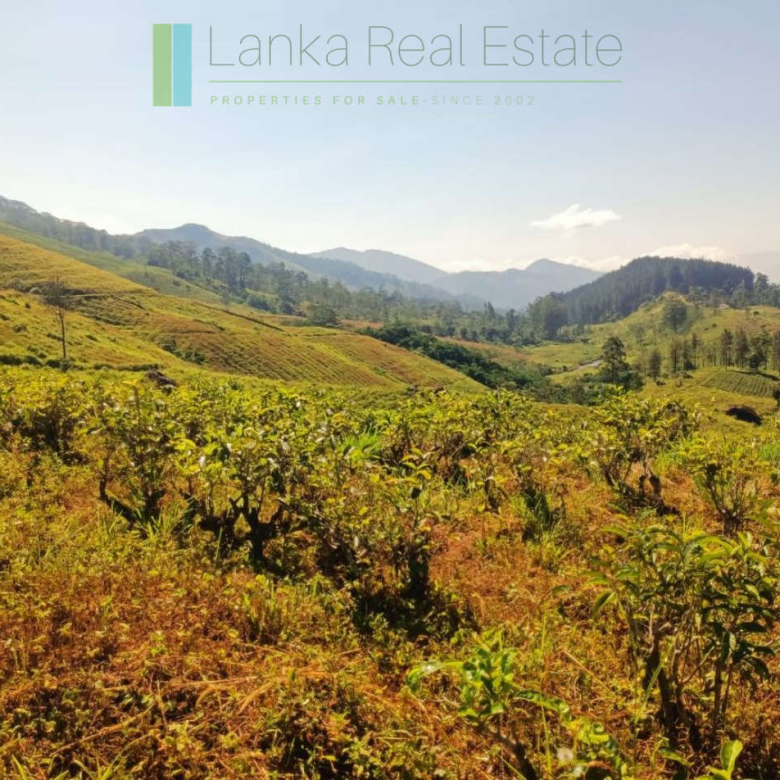 500 acre estate with tea factory near Kandy