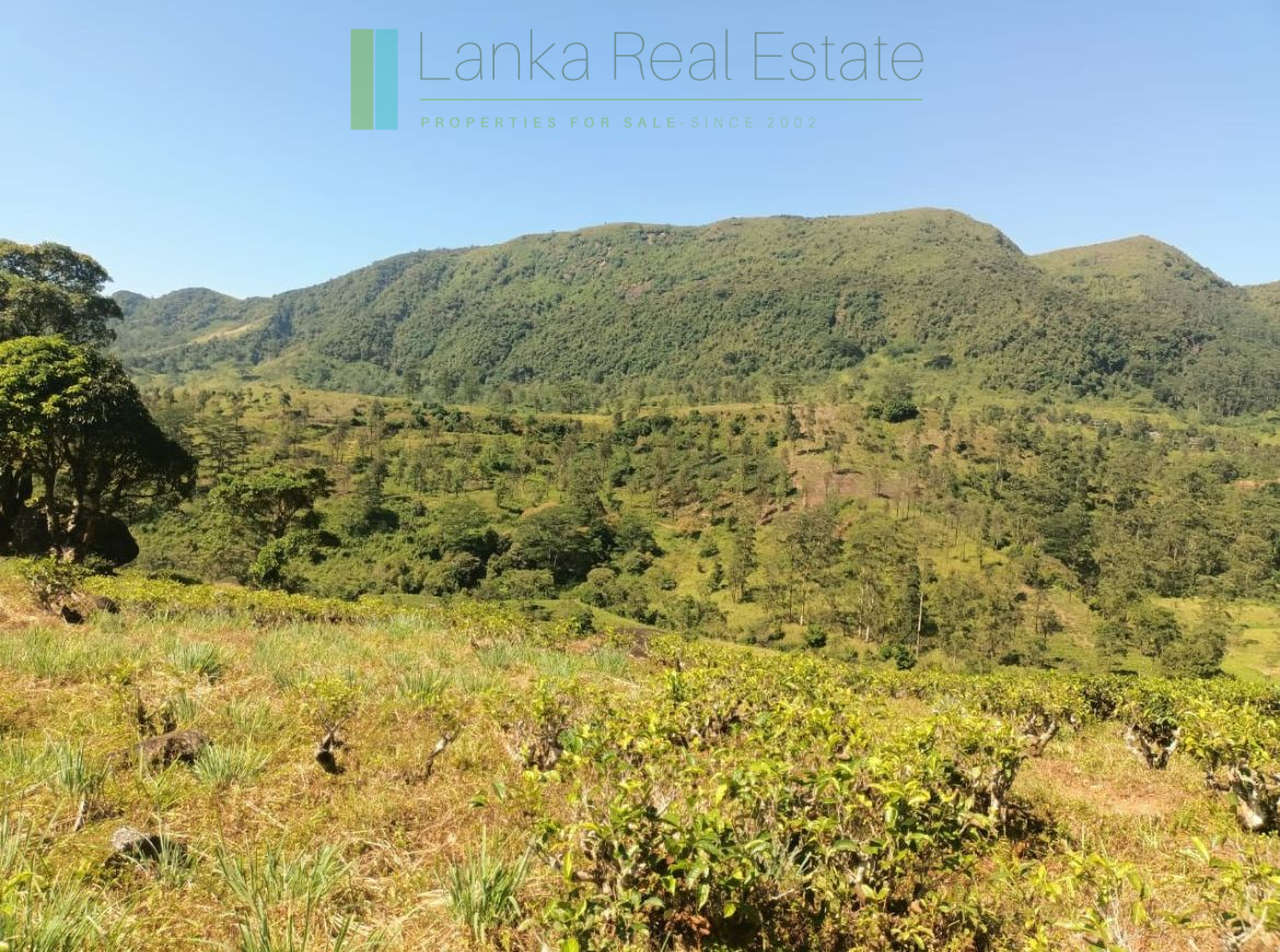 500 acre estate with tea factory near Kandy