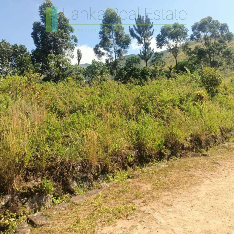 500 acre estate with tea factory near Kandy
