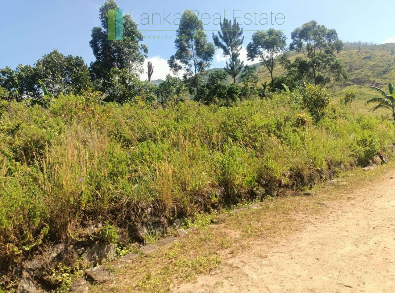 500 acre estate with tea factory near Kandy
