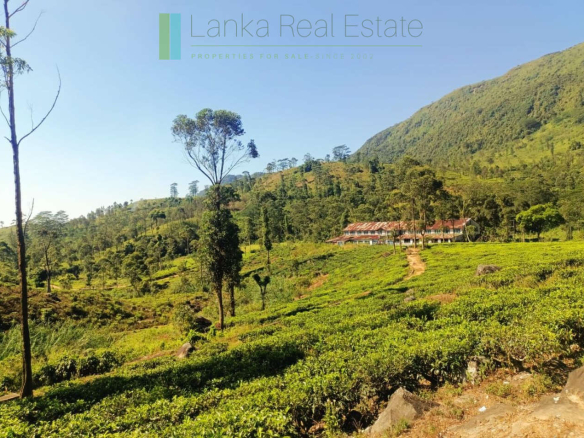 500 acre estate with tea factory near Kandy